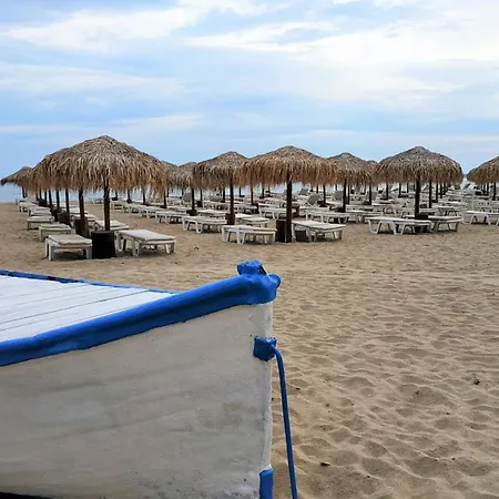 New Line Village * סאני ביץ'