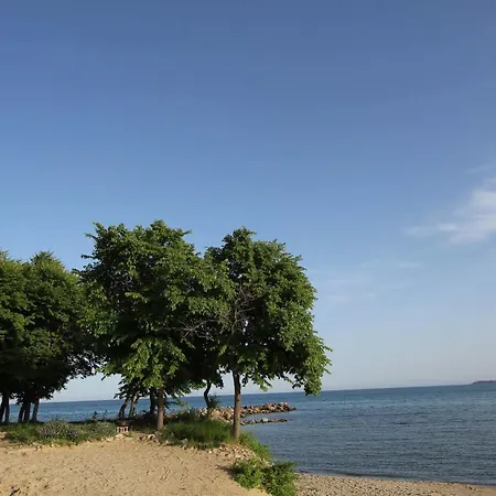 New Line Village * 써니비치