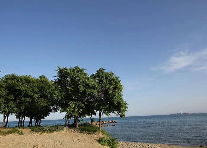 New Line Village * サニービーチ