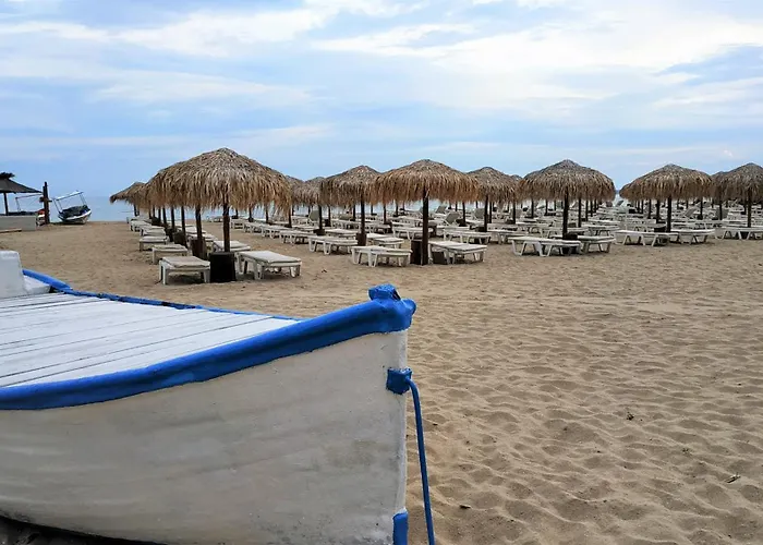 New Line Village * Солнечный берег